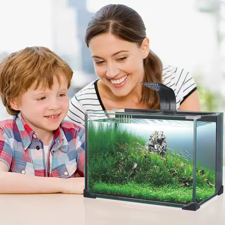 Aquariums for Fish and Shrimp Raising Glass Aquariums with Led Light Heto Nano tank - Image 2