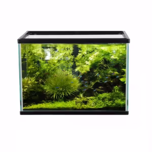 Aquariums Glass Fish Aquarium or Raising Fish Rectangular Glass Fish tank with Water Pump