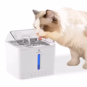 2025 Newly Designed Fountain Style Silent Timed Pet Intelligent Water Dispenser Automatic Pet Water Fountain Dog Cat Supplies