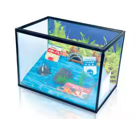 Aquariums for Fish and Shrimp Raising Glass Aquariums with Led Light - Image 4