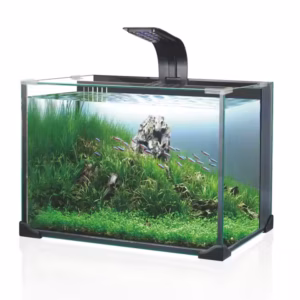Aquarium Fish Raising Equipment Glass Aquarium for Sale Aquarium